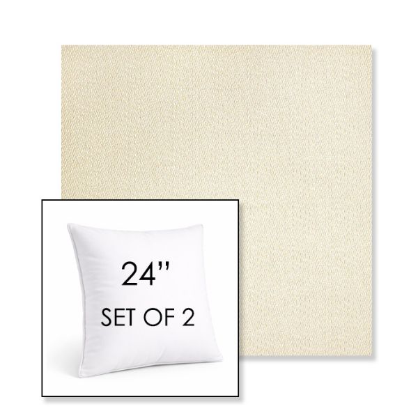 Picture of Posh Salt | Set of 2 | Sunbrella 24" Square Outdoor Throw Pillows with Premium Inserts
