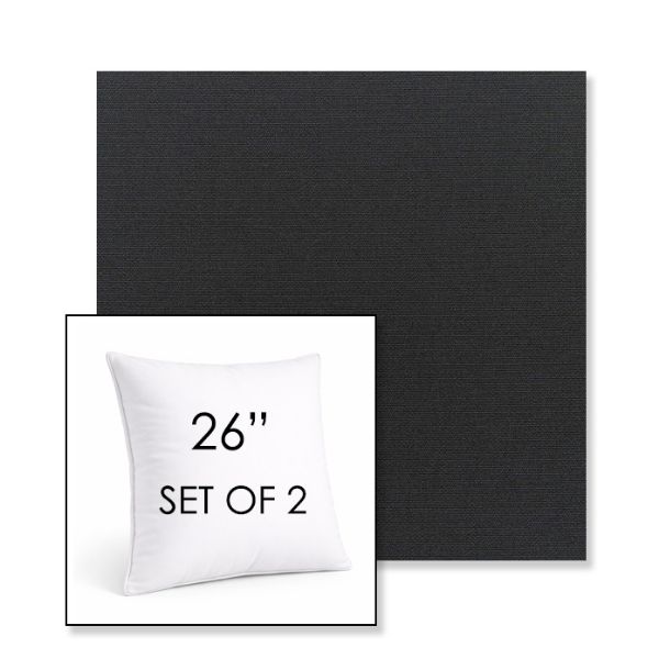 Picture of Canvas Black | Set of 2 | Sunbrella 26" Square Outdoor Throw Pillows with Premium Inserts