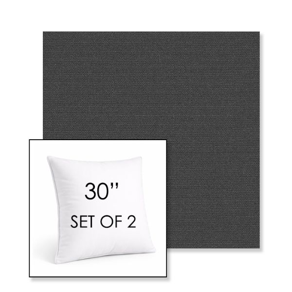 Picture of Canvas Carbon | Set of 2 | Sunbrella 30" Square Outdoor Throw Pillows with Premium Inserts