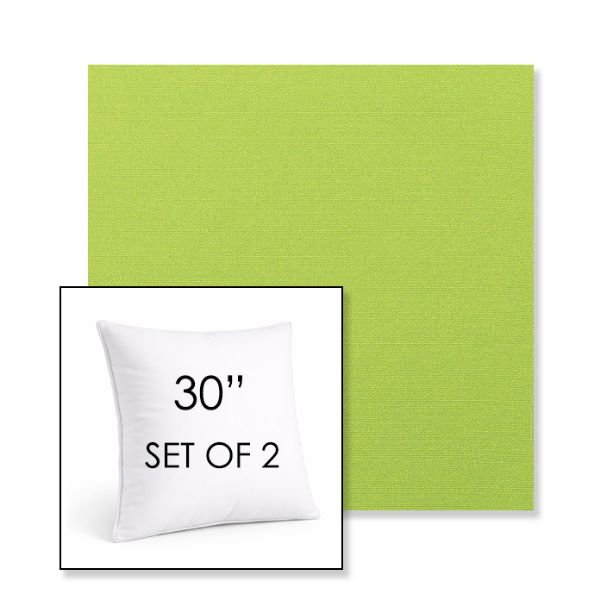 Picture of Canvas Macaw | Set of 2 | Sunbrella 30" Square Outdoor Throw Pillows with Premium Inserts