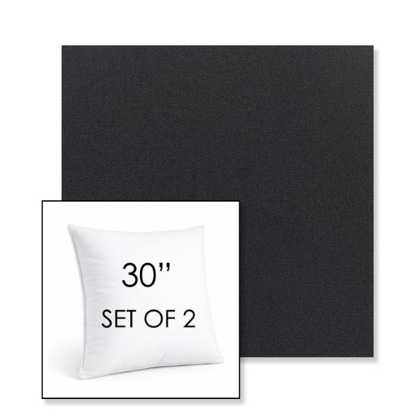 Picture of Canvas Raven Black | Set of 2 | Sunbrella 30" Square Outdoor Throw Pillows with Premium Inserts