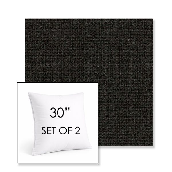 Picture of Source Coal | Set of 2 | Sunbrella 30" Square Outdoor Throw Pillows with Premium Inserts