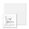 Picture of Ritsy Salt | Set of 2 | Sunbrella 16" Square Outdoor Throw Pillows with Premium Inserts