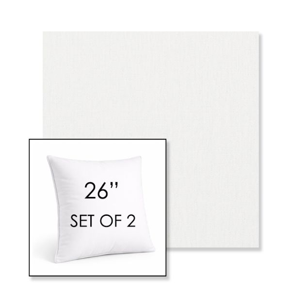 Picture of Ritsy Salt | Set of 2 | Sunbrella 26" Square Outdoor Throw Pillows with Premium Inserts