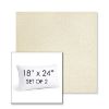 Picture of Posh Salt | Set of 2 | 18" X 24" Sunbrella Outdoor Throw Pillows with Premium Inserts