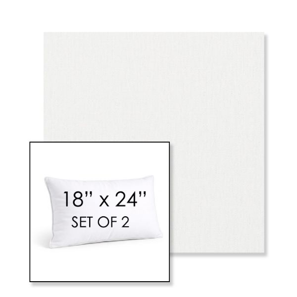 Picture of Ritsy Salt | Set of 2 | 18" X 24" Sunbrella Outdoor Throw Pillows with Premium Inserts
