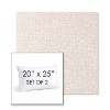 Picture of Abstraction Parchment | Set of 2 | 20" X 25" Sunbrella Outdoor Throw Pillows with Premium Inserts