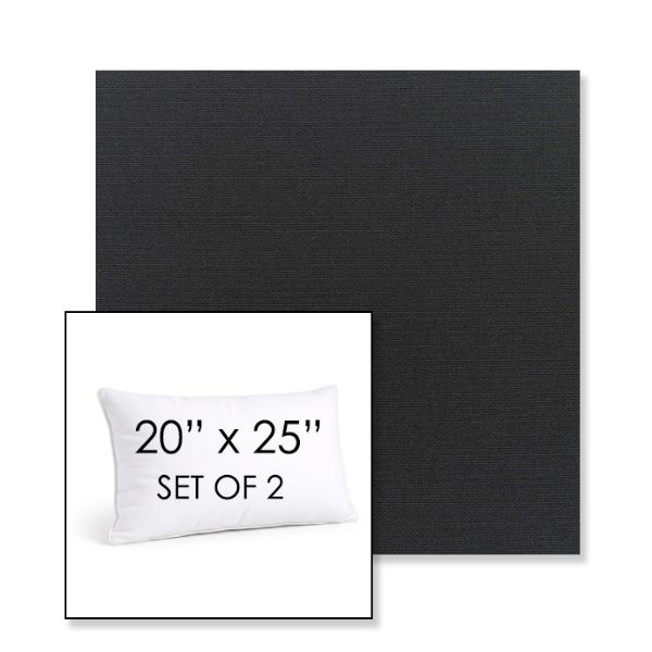 Picture of Canvas Black | Set of 2 | 20" X 25" Sunbrella Outdoor Throw Pillows with Premium Inserts