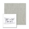 Picture of Canvas Granite | Set of 2 | 20" X 25" Sunbrella Outdoor Throw Pillows with Premium Inserts