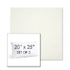 Picture of Canvas White | Set of 2 | 20" X 25" Sunbrella Outdoor Throw Pillows with Premium Inserts