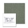 Picture of Cast Sage | Set of 2 | 20" X 25" Sunbrella Outdoor Throw Pillows with Premium Inserts