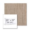 Picture of Metamorphic Sand | Set of 2 | 20" X 25" Sunbrella Outdoor Throw Pillows with Premium Inserts