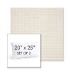 Picture of Nurture White | Set of 2 | 20" X 25" Sunbrella Outdoor Throw Pillows with Premium Inserts