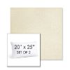 Picture of Posh Salt | Set of 2 | 20" X 25" Sunbrella Outdoor Throw Pillows with Premium Inserts