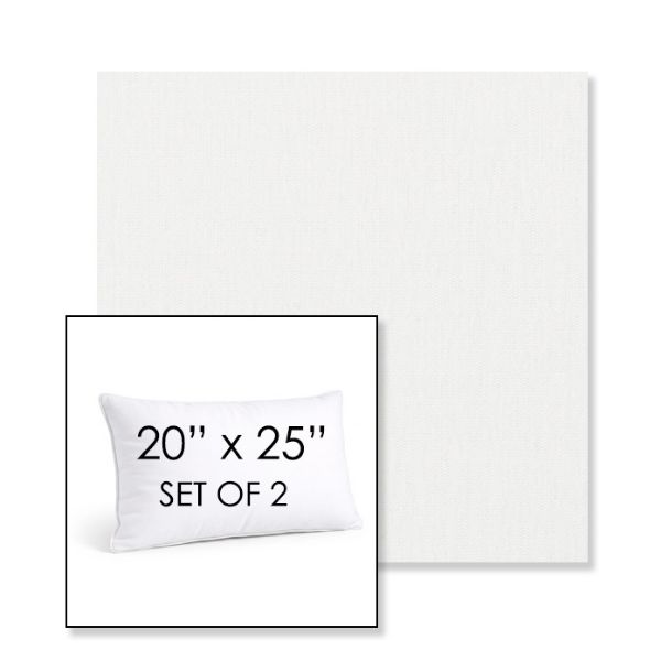 Picture of Ritsy Salt | Set of 2 | 20" X 25" Sunbrella Outdoor Throw Pillows with Premium Inserts