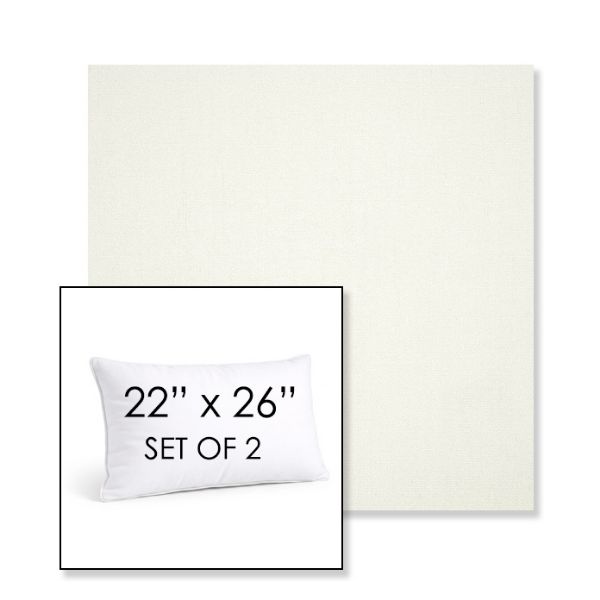 Picture of Canvas White | Set of 2 | 22" X 26" Sunbrella Outdoor Throw Pillows with Premium Inserts