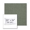 Picture of Cast Sage | Set of 2 | 22" X 26" Sunbrella Outdoor Throw Pillows with Premium Inserts