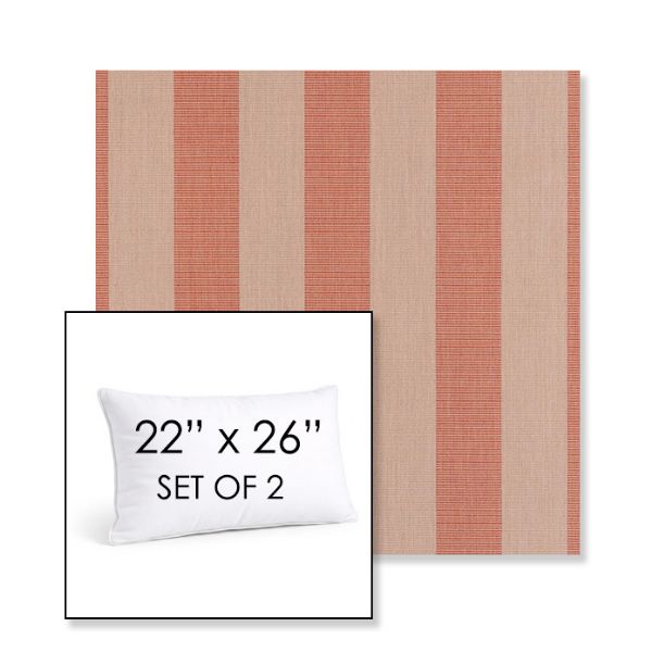 Picture of Expressive Blush | Set of 2 | 22" X 26" Sunbrella Outdoor Throw Pillows with Premium Inserts