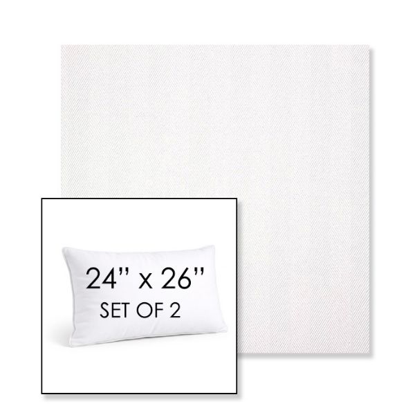 Picture of Switch Salt | Set of 2 | 24" X 26" Sunbrella Outdoor Throw Pillows with Premium Inserts