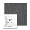 Picture of Cast Charcoal | Set of 2 | 16" Sunbrella Boxed Square Outdoor Throw Pillows with Premium Inserts