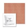Picture of Posh Coral | Set of 2 | 16" Sunbrella Boxed Square Outdoor Throw Pillows with Premium Inserts