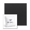 Picture of Canvas Black | Set of 2 | 18" Sunbrella Boxed Square Outdoor Throw Pillows with Premium Inserts
