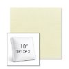 Picture of Canvas Natural | Set of 2 | 18" Sunbrella Boxed Square Outdoor Throw Pillows with Premium Inserts