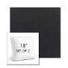 Picture of Canvas Raven Black | Set of 2 | 18" Sunbrella Boxed Square Outdoor Throw Pillows with Premium Inserts