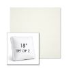 Picture of Canvas White | Set of 2 | 18" Sunbrella Boxed Square Outdoor Throw Pillows with Premium Inserts