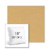Picture of Cast Harvest | Set of 2 | 18" Sunbrella Boxed Square Outdoor Throw Pillows with Premium Inserts