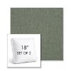 Picture of Cast Sage | Set of 2 | 18" Sunbrella Boxed Square Outdoor Throw Pillows with Premium Inserts