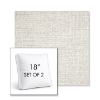 Picture of Crush Cloud | Set of 2 | 18" Sunbrella Boxed Square Outdoor Throw Pillows with Premium Inserts