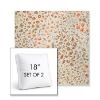 Picture of Flora Sunset | Set of 2 | 18" Sunbrella Boxed Square Outdoor Throw Pillows with Premium Inserts