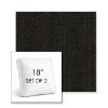 Picture of Source Coal | Set of 2 | 18" Sunbrella Boxed Square Outdoor Throw Pillows with Premium Inserts