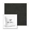 Picture of Spectrum Carbon | Set of 2 | 18" Sunbrella Boxed Square Outdoor Throw Pillows with Premium Inserts