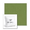 Picture of Spectrum Cilantro | Set of 2 | 18" Sunbrella Boxed Square Outdoor Throw Pillows with Premium Inserts
