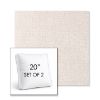 Picture of Abstraction Parchment | Set of 2 | 20" Sunbrella Boxed Square Outdoor Throw Pillows with Premium Inserts