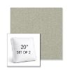 Picture of Abstraction Sage | Set of 2 | 20" Sunbrella Boxed Square Outdoor Throw Pillows with Premium Inserts