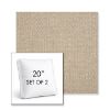 Picture of Blend Sand | Set of 2 | 20" Sunbrella Boxed Square Outdoor Throw Pillows with Premium Inserts