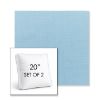 Picture of Canvas Air Blue | Set of 2 | 20" Sunbrella Boxed Square Outdoor Throw Pillows with Premium Inserts