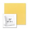 Picture of Canvas Buttercup | Set of 2 | 20" Sunbrella Boxed Square Outdoor Throw Pillows with Premium Inserts