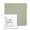 Picture of Cast Oasis | Set of 2 | 20" Sunbrella Boxed Square Outdoor Throw Pillows with Premium Inserts