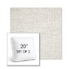 Picture of Crush Cloud | Set of 2 | 20" Sunbrella Boxed Square Outdoor Throw Pillows with Premium Inserts