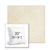 Picture of Posh Salt | Set of 2 | 20" Sunbrella Boxed Square Outdoor Throw Pillows with Premium Inserts