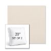 Picture of Ritsy Pearl | Set of 2 | 20" Sunbrella Boxed Square Outdoor Throw Pillows with Premium Inserts