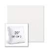 Picture of Ritsy Salt | Set of 2 | 20" Sunbrella Boxed Square Outdoor Throw Pillows with Premium Inserts