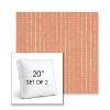 Picture of Trail Blush | Set of 2 | 20" Sunbrella Boxed Square Outdoor Throw Pillows with Premium Inserts