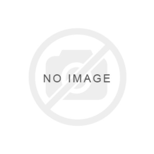 Picture of Astoria Sunset Patio Chair Cushion Style B - copy