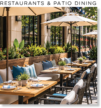 Outdoor Cushions Dallas